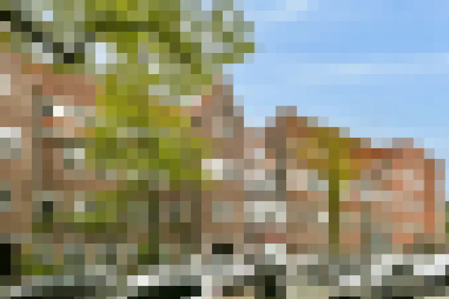 Leimuidenstraat 10 2 Amsterdam thumbnail 26