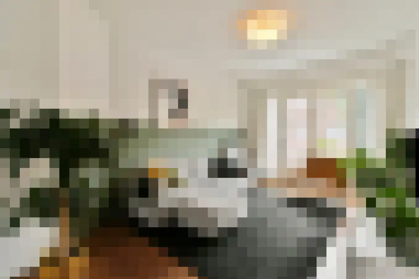 Leimuidenstraat 10 2 Amsterdam thumbnail 9