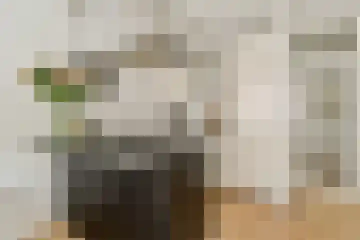 Leimuidenstraat 3 H Amsterdam thumbnail 7