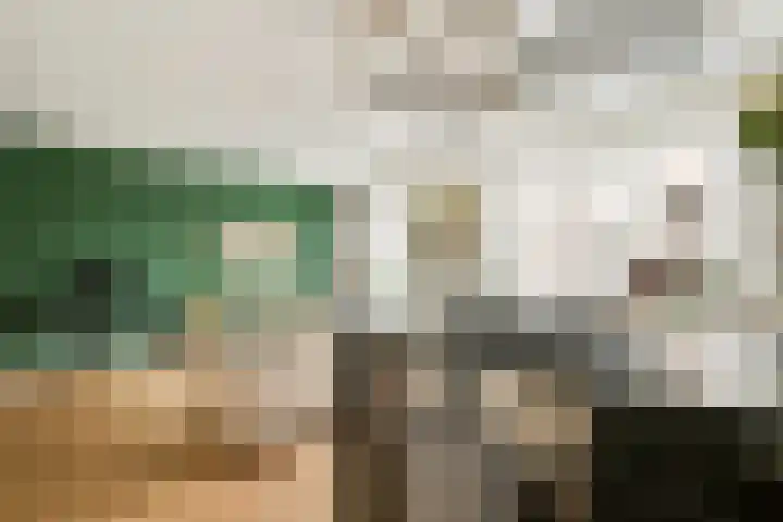 Leimuidenstraat 3 H Amsterdam thumbnail 8