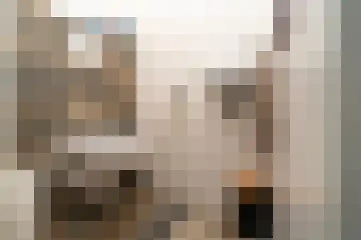 Leimuidenstraat 32 Tilburg thumbnail 10
