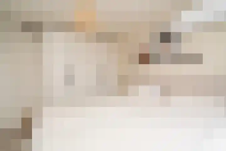 Leimuidenstraat 32 Tilburg thumbnail 34