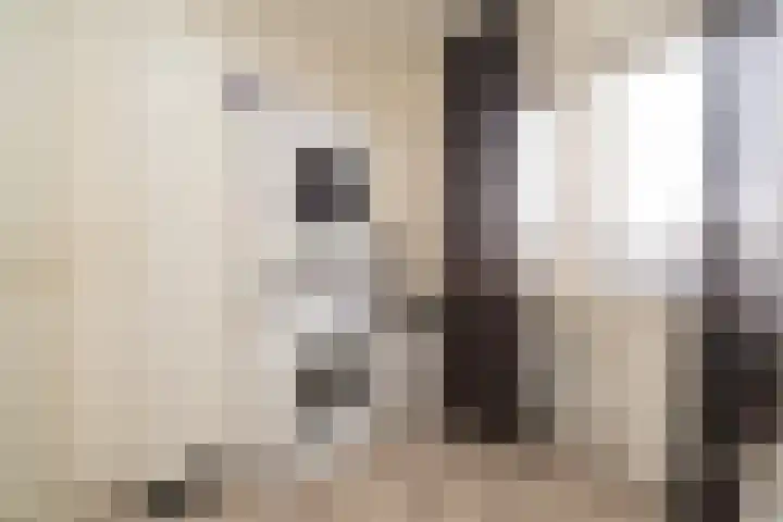 Leimuidenstraat 32 Tilburg thumbnail 38