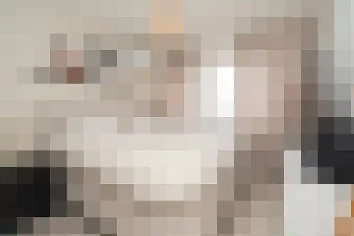 Leimuidenstraat 32 Tilburg thumbnail 4
