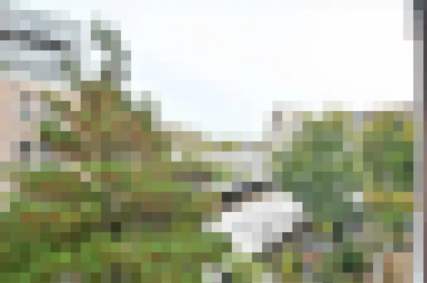 Leimuidenstraat 33 1 Amsterdam thumbnail 6