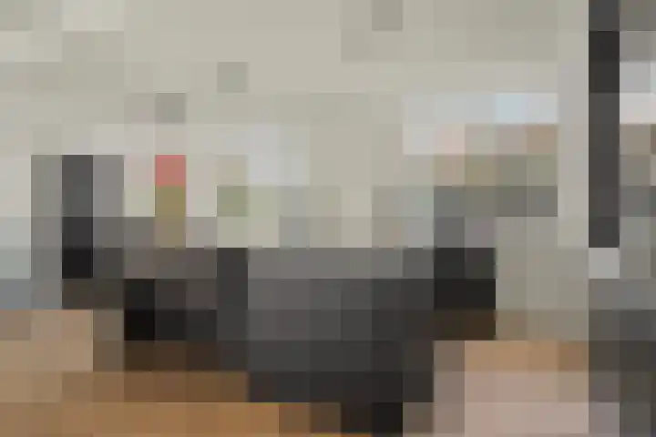 Leimuidenstraat 5 Alem thumbnail 13