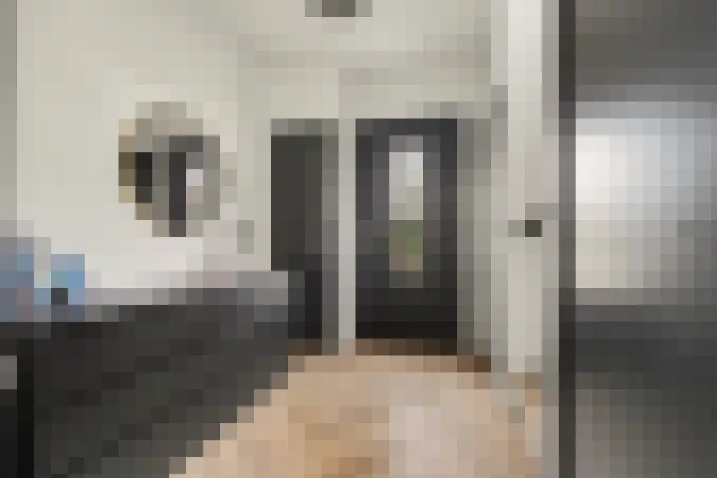 Leimuidenstraat 5 Alem thumbnail 17