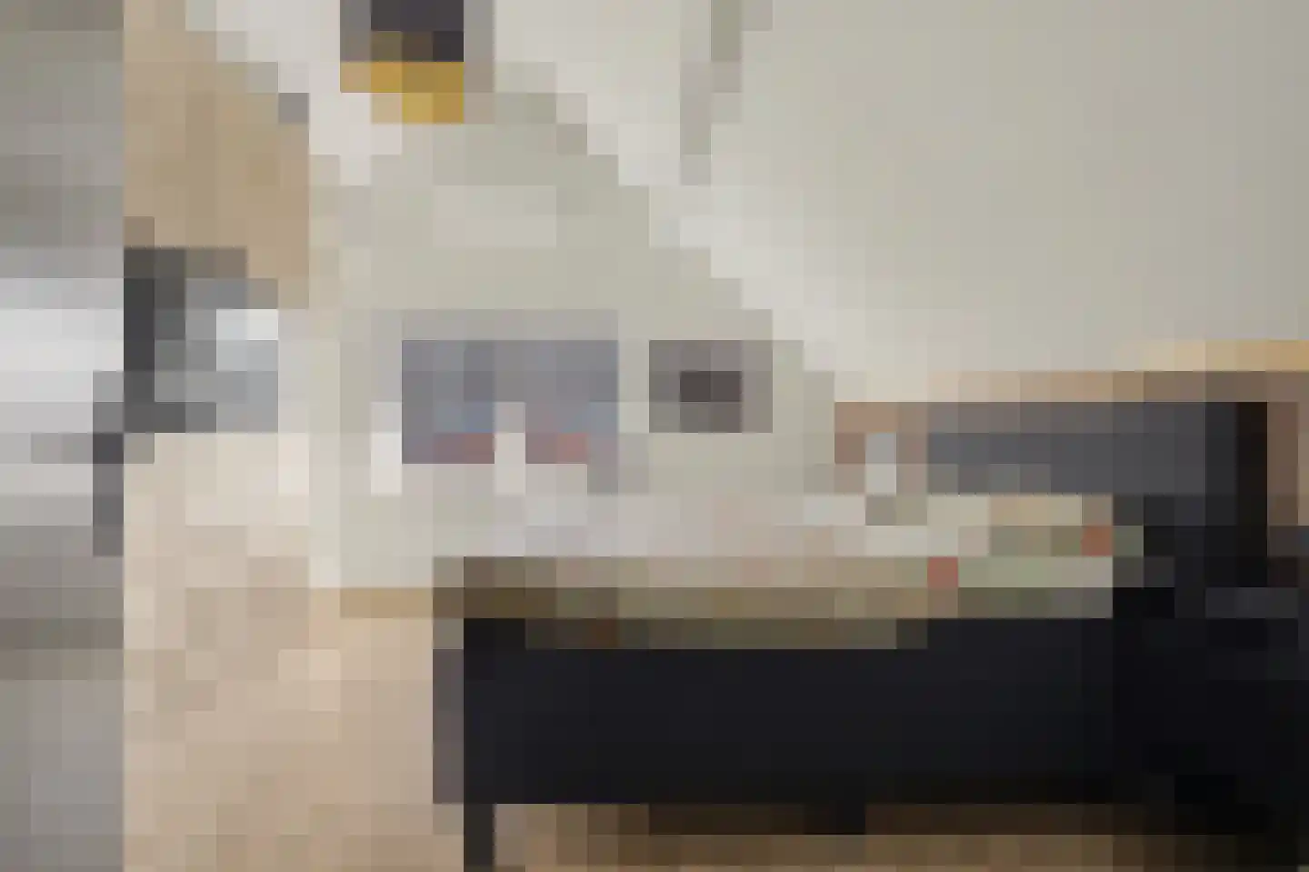 Leimuidenstraat 5 Alem thumbnail 20