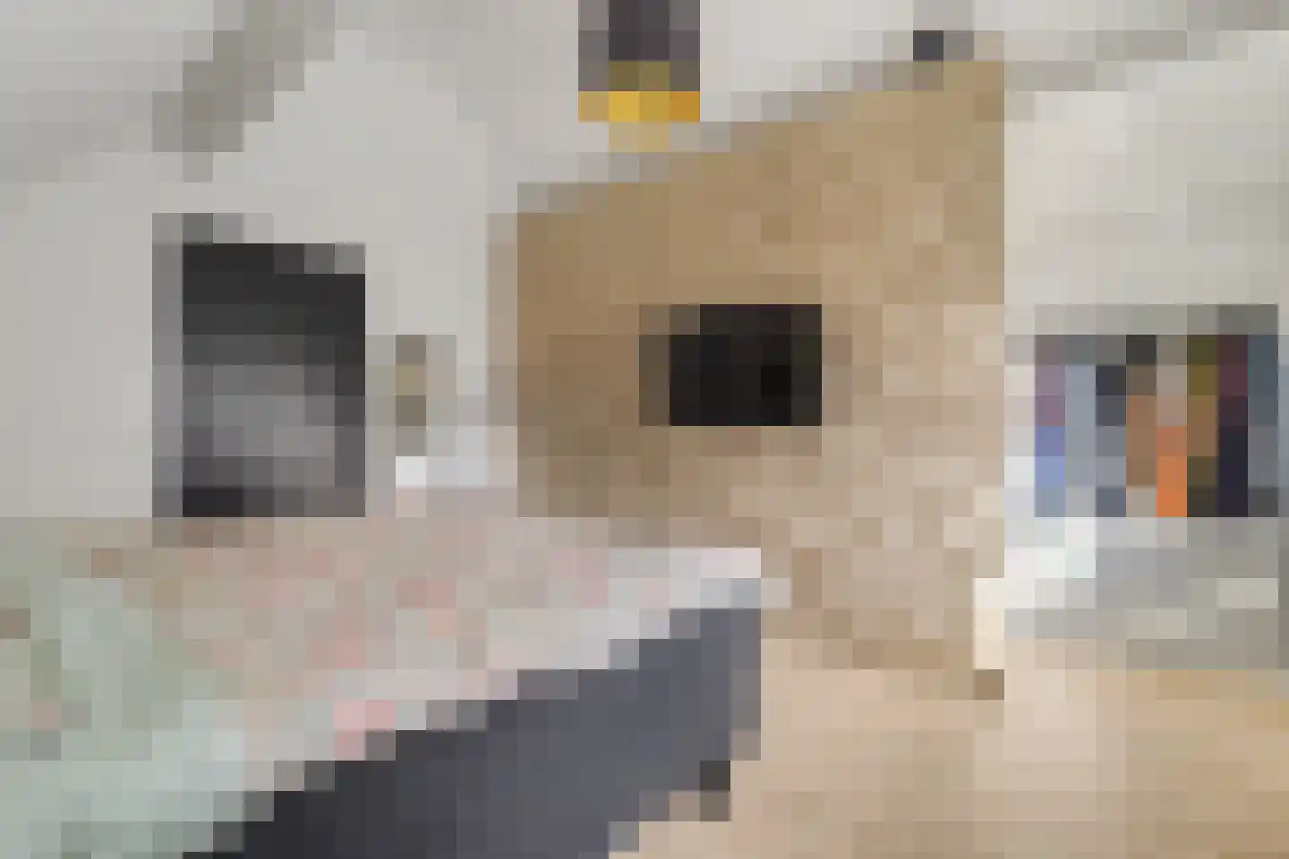 Leimuidenstraat 5 Alem thumbnail 22