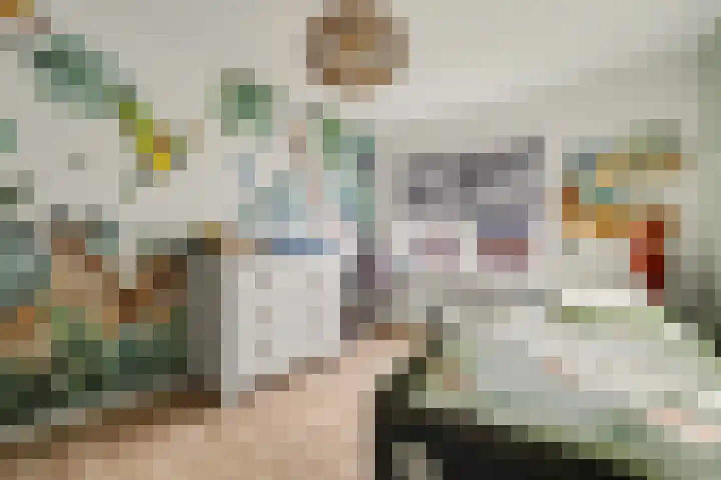 Leimuidenstraat 5 Alem thumbnail 24