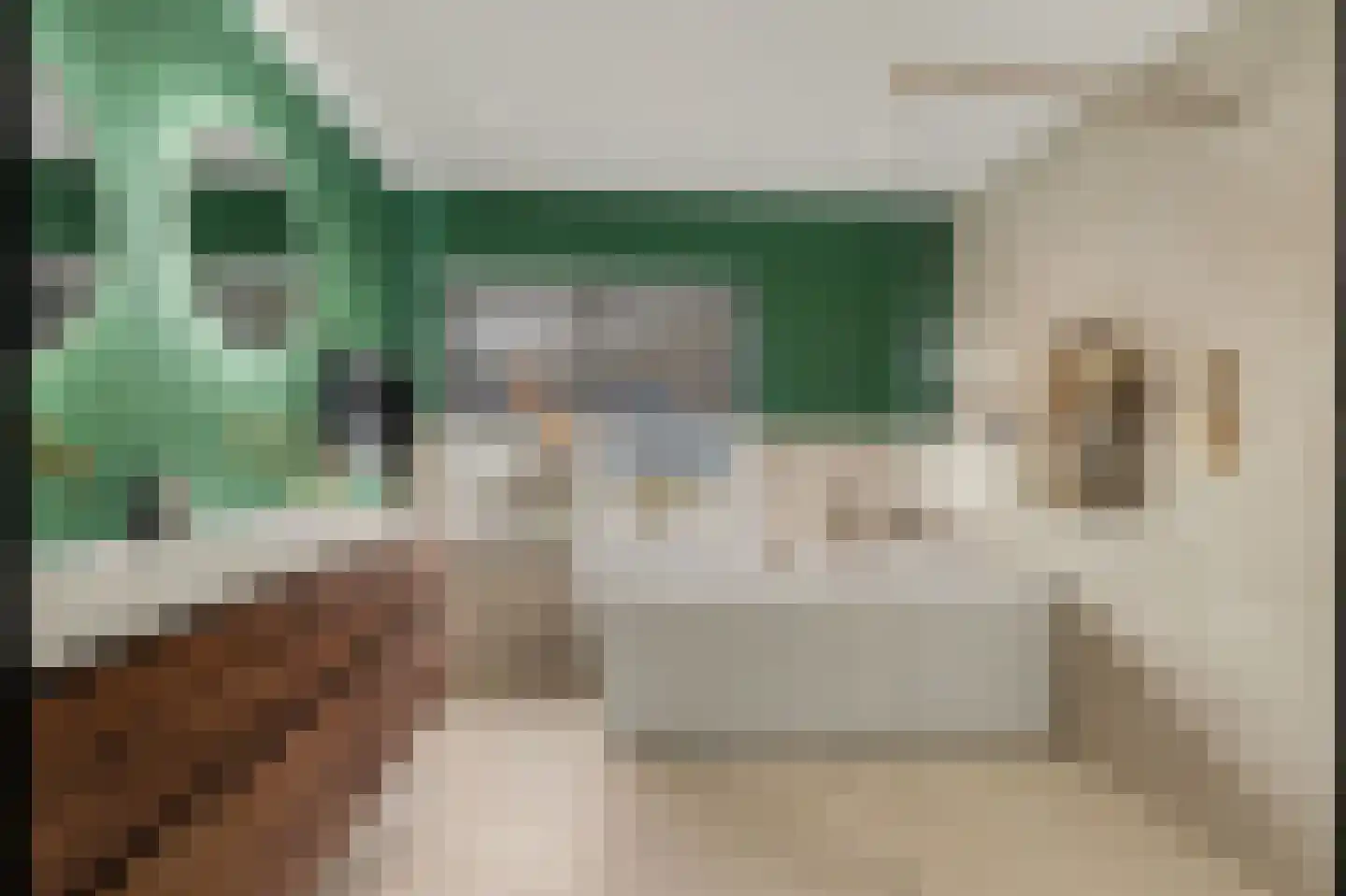 Leimuidenstraat 5 Alem thumbnail 30