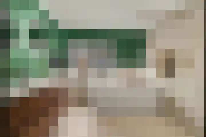 Leimuidenstraat 5 Alem thumbnail 30