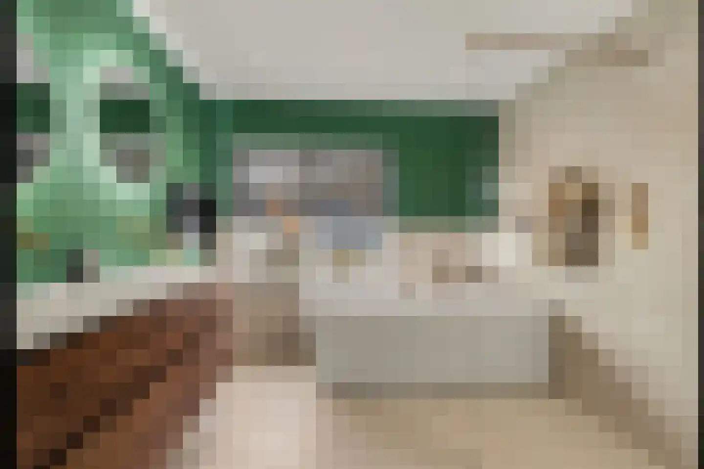Leimuidenstraat 5 Alem thumbnail 31