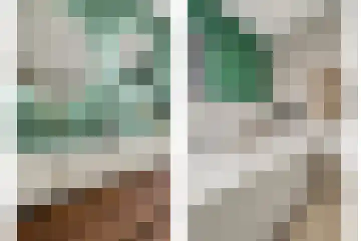Leimuidenstraat 5 Alem thumbnail 33