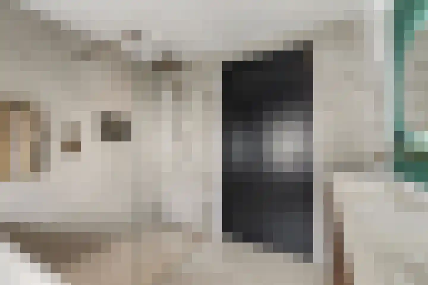 Leimuidenstraat 5 Alem thumbnail 33
