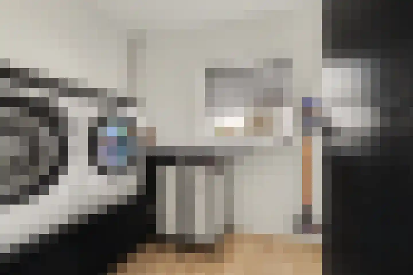 Leimuidenstraat 5 Alem thumbnail 36