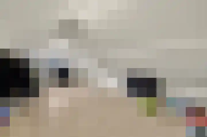 Leimuidenstraat 5 Alem thumbnail 37