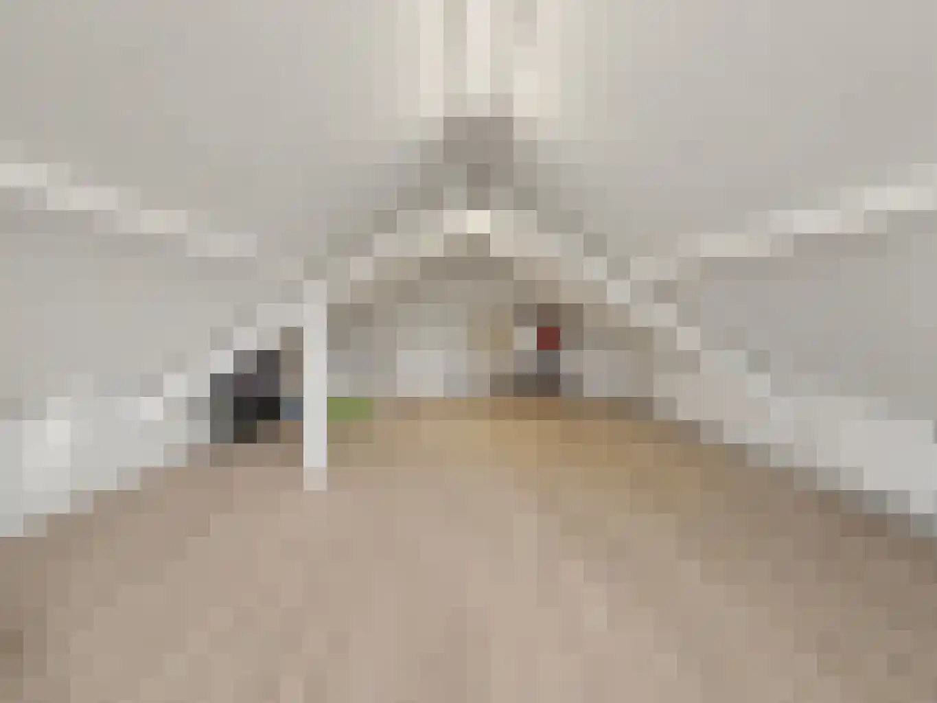 Leimuidenstraat 5 Alem thumbnail 37