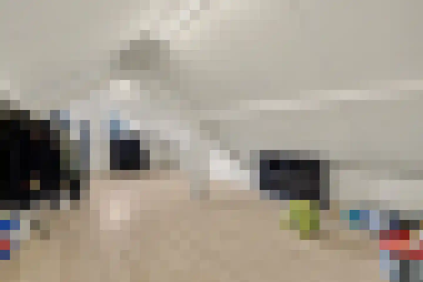 Leimuidenstraat 5 Alem thumbnail 38