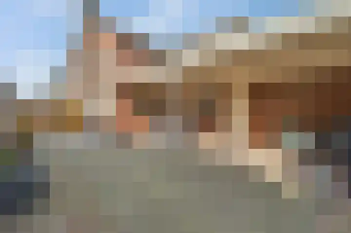 Leimuidenstraat 5 Alem thumbnail 38