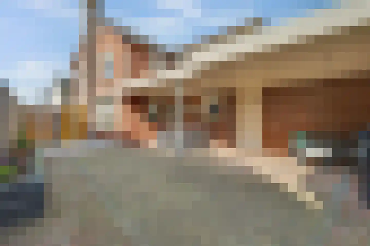 Leimuidenstraat 5 Alem thumbnail 39