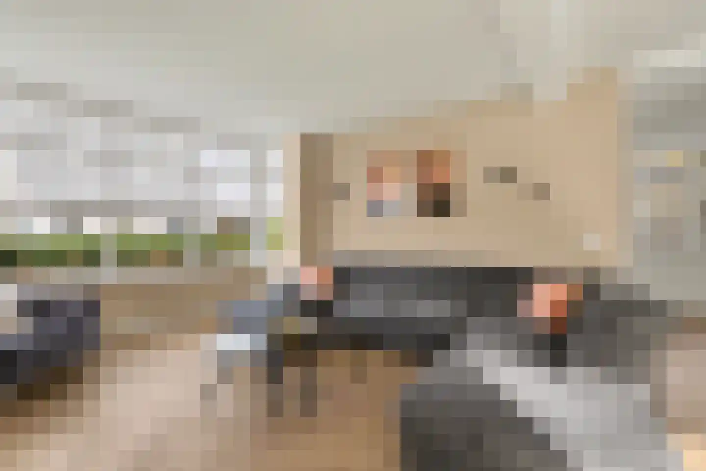 Leimuidenstraat 5 Alem thumbnail 4