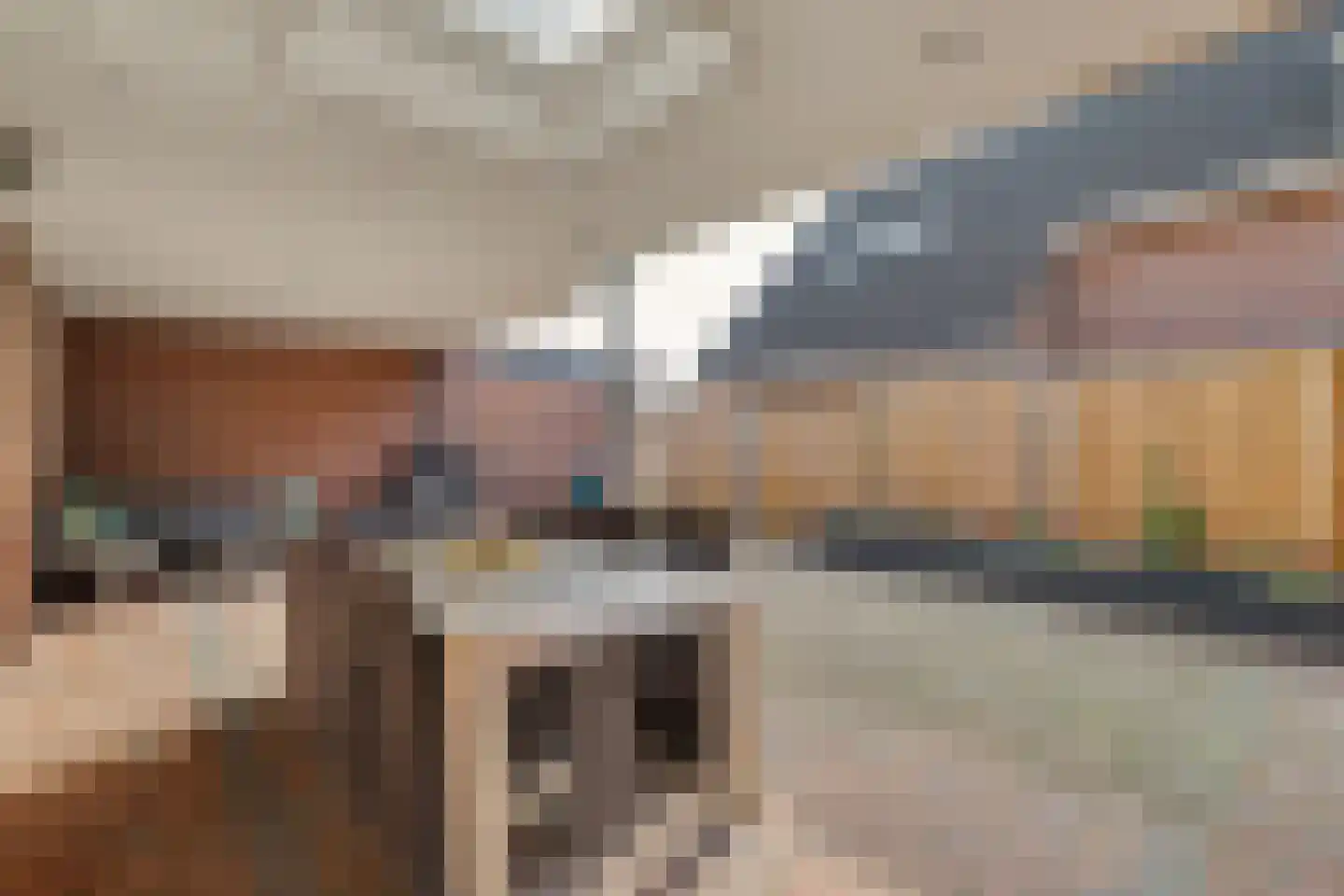 Leimuidenstraat 5 Alem thumbnail 43