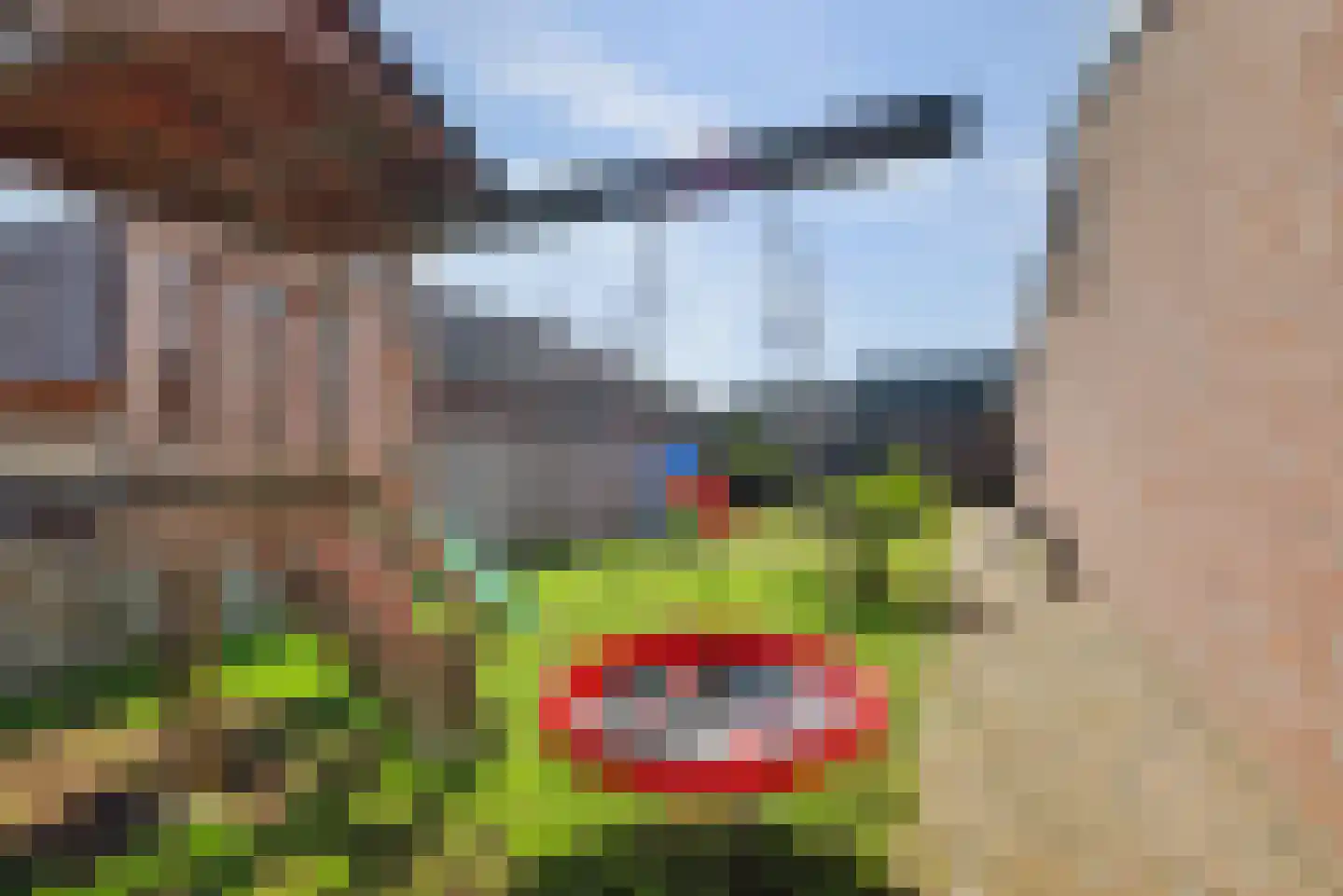 Leimuidenstraat 5 Alem thumbnail 45