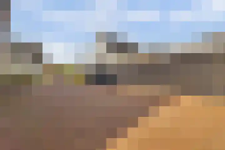 Leimuidenstraat 5 Alem thumbnail 46