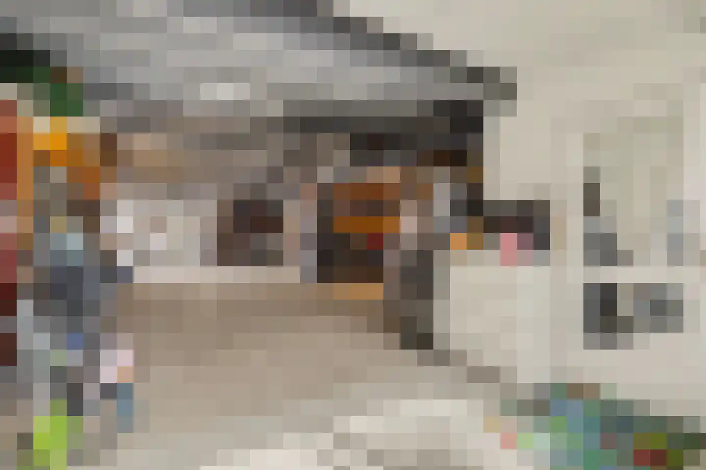 Leimuidenstraat 5 Alem thumbnail 49
