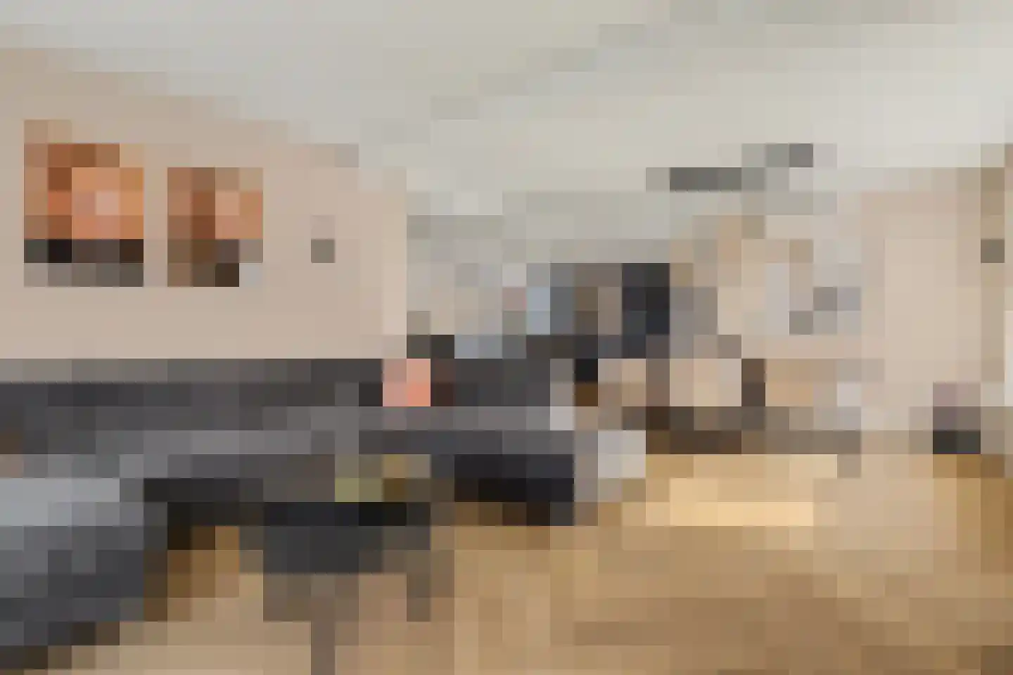 Leimuidenstraat 5 Alem thumbnail 5