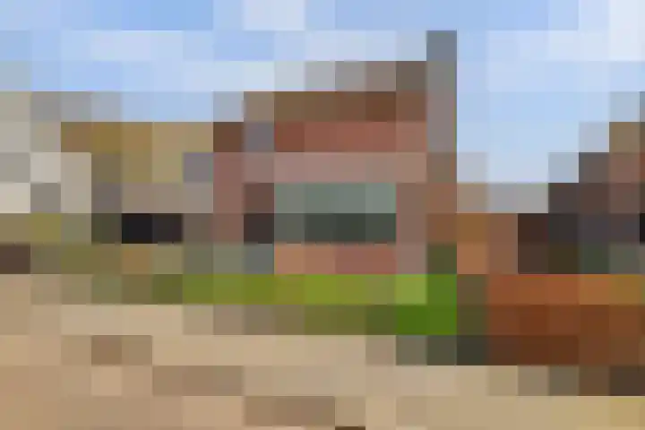 Leimuidenstraat 5 Alem thumbnail 51
