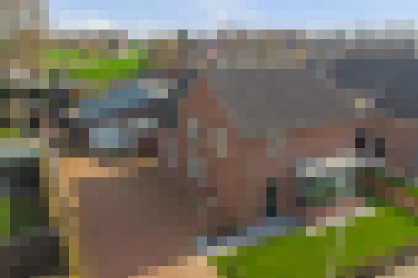 Leimuidenstraat 5 Alem thumbnail 54