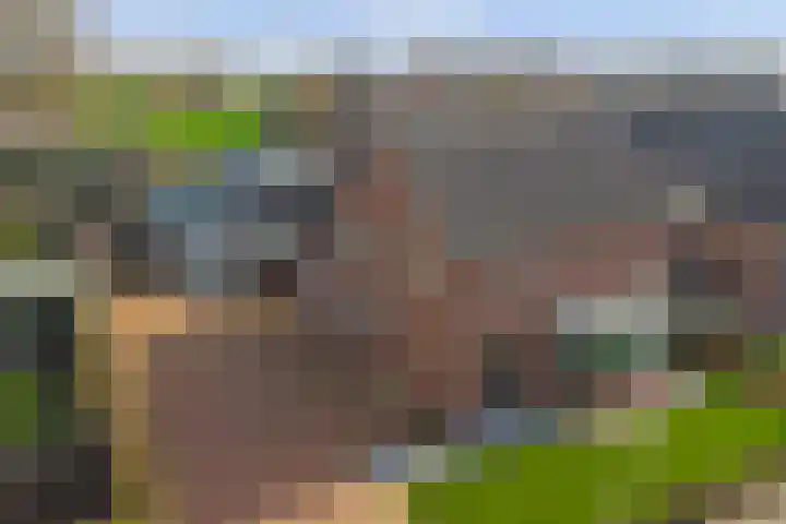 Leimuidenstraat 5 Alem thumbnail 54