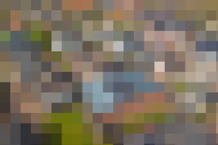 Leimuidenstraat 5 Alem thumbnail 56