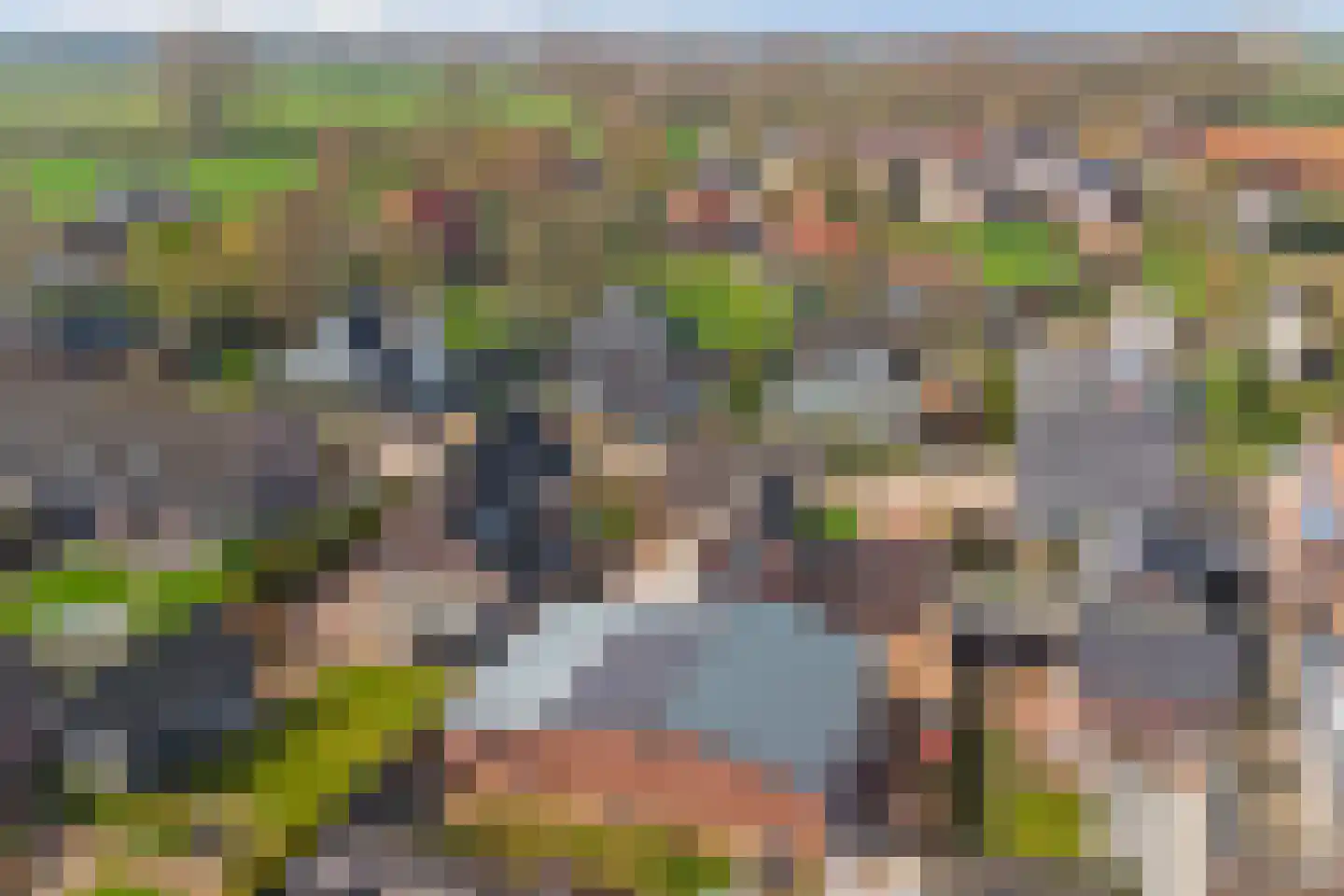 Leimuidenstraat 5 Alem thumbnail 58