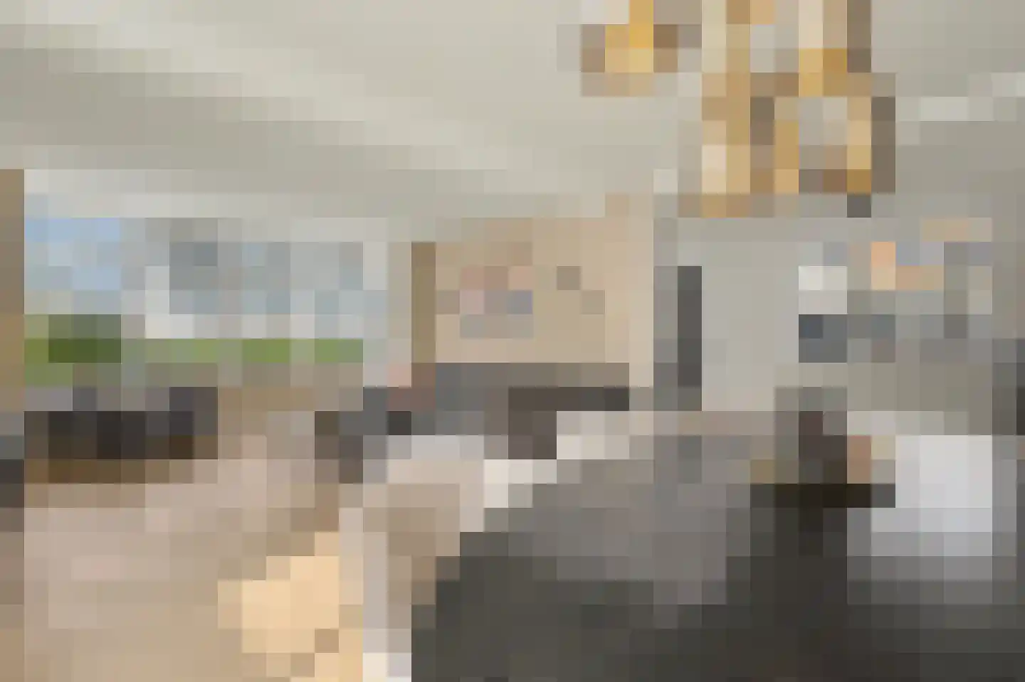 Leimuidenstraat 5 Alem thumbnail 6