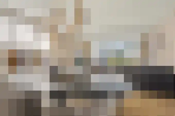 Leimuidenstraat 5 Alem thumbnail 7