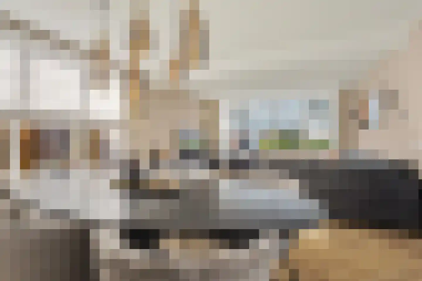 Leimuidenstraat 5 Alem thumbnail 7