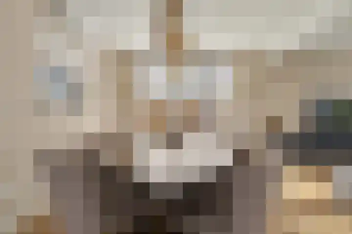 Leimuidenstraat 5 Alem thumbnail 8