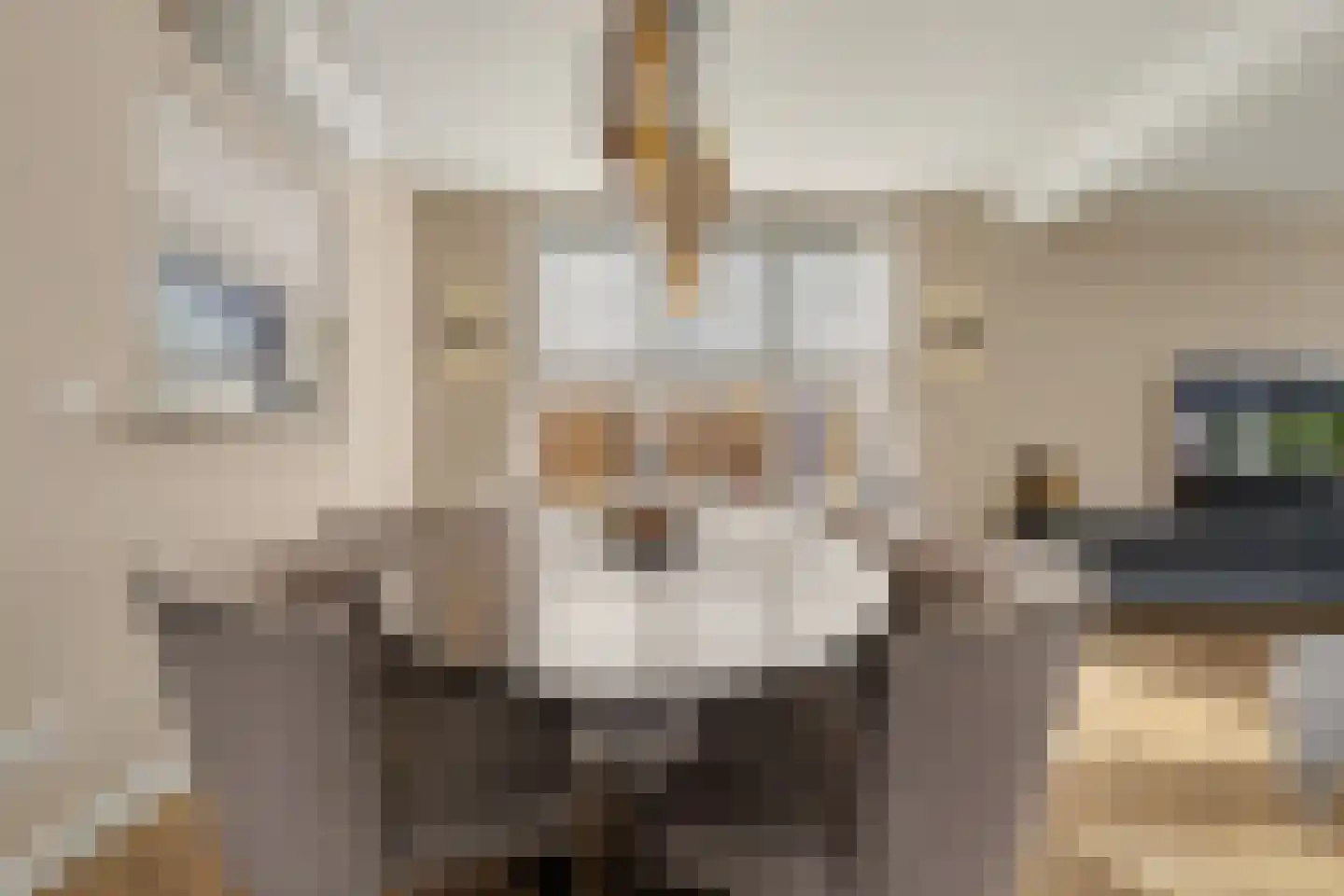 Leimuidenstraat 5 Alem thumbnail 8
