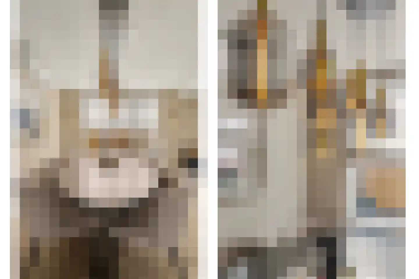 Leimuidenstraat 5 Alem thumbnail 9