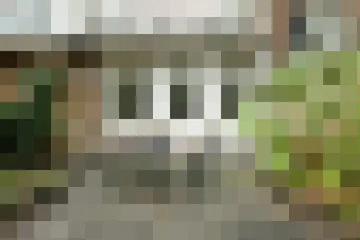 Leimuidenstraat 50 1 Amsterdam thumbnail 8