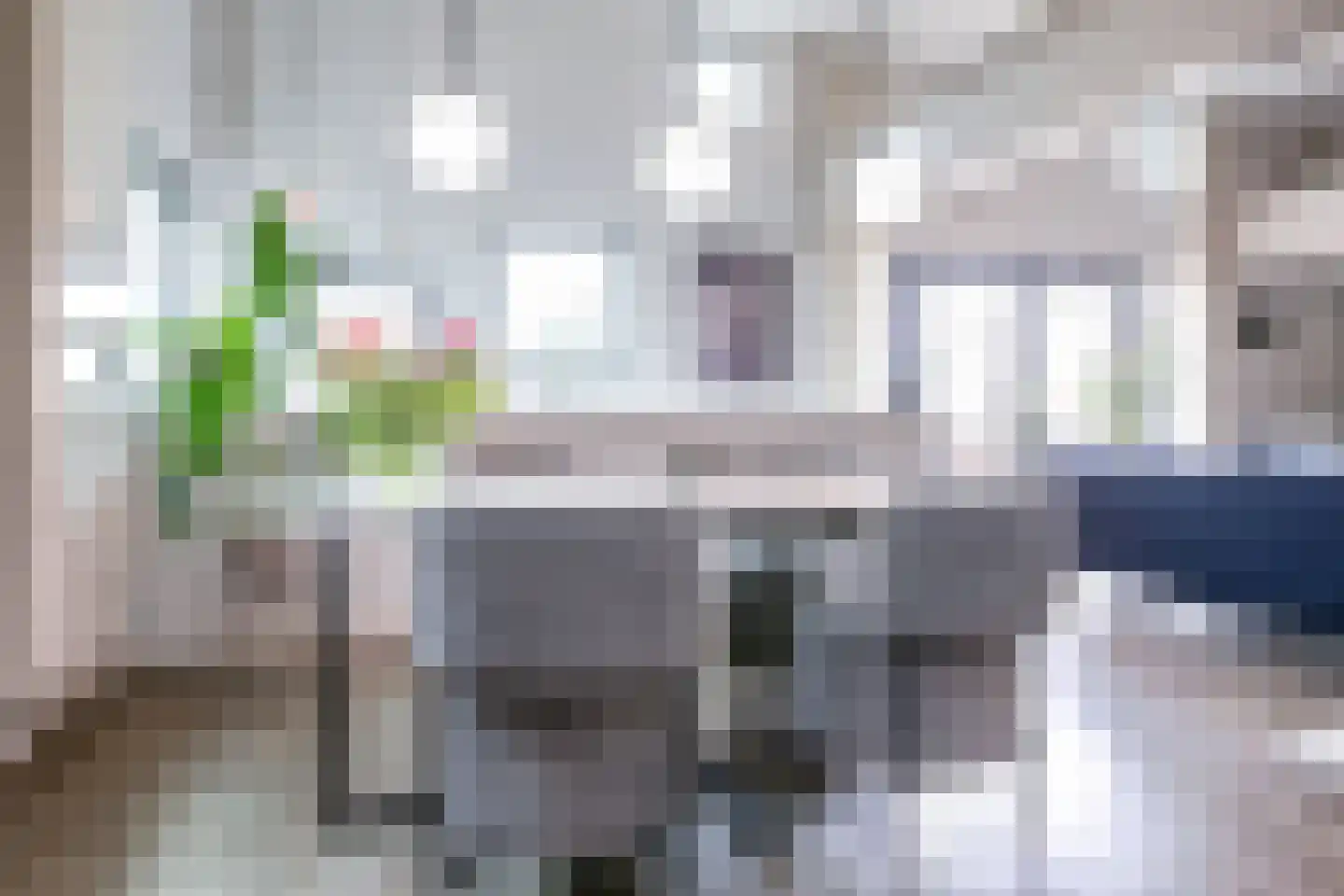 Leimuiderdijk 238 Burgerveen thumbnail 22