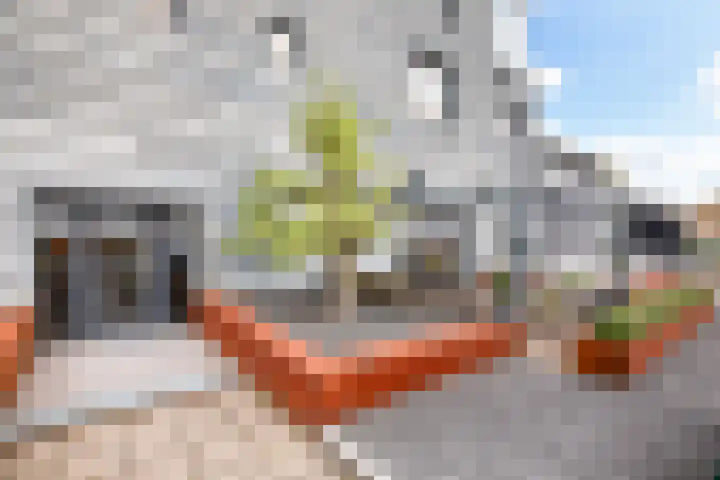 Leimuiderdijk 238 Burgerveen thumbnail 37