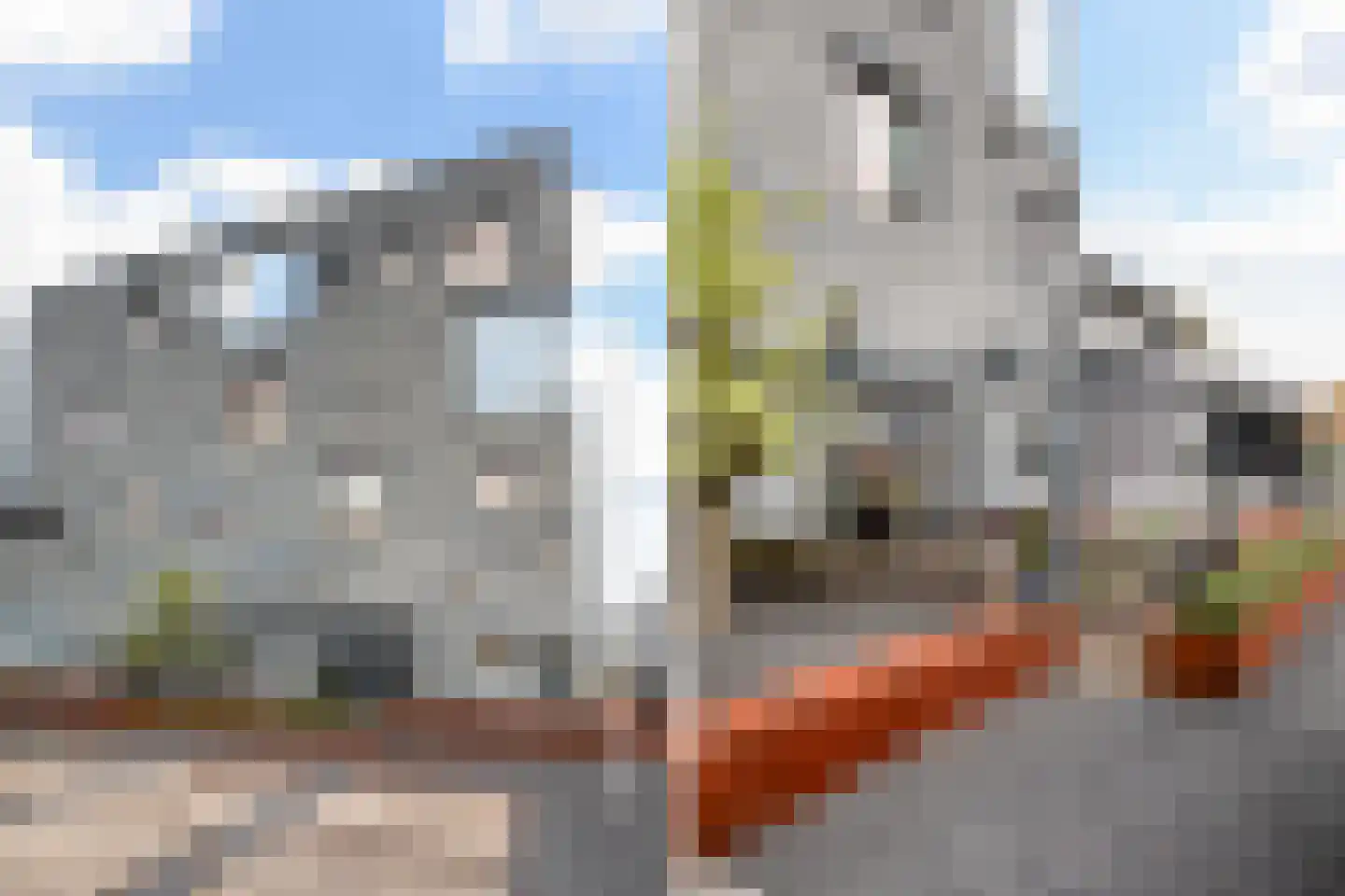 Leimuiderdijk 238 Burgerveen thumbnail 6
