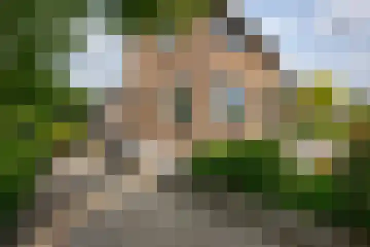 Leimuiderdijk 290 Burgerveen thumbnail 11