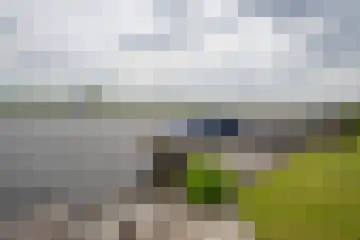 Leimuiderdijk 290 Burgerveen thumbnail 12