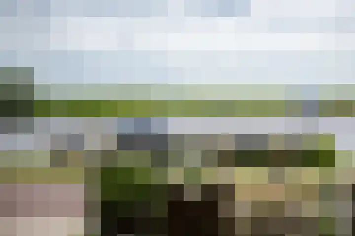 Leimuiderdijk 290 Burgerveen thumbnail 18