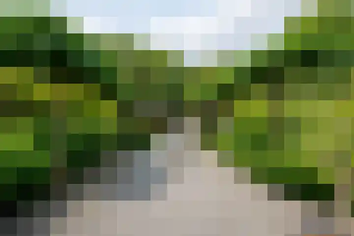 Leimuiderdijk 290 Burgerveen thumbnail 29